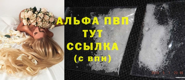 ешки Алексин