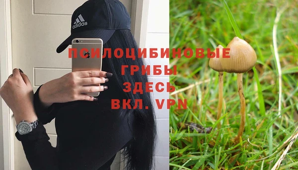 прущий лед Алексеевка