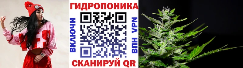 Конопля MAZAR  MEGA рабочий сайт  Островной 